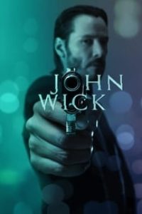 Download John Wick (2014) Dual Audio {Hindi-English} Bluray 480p [330MB] || 720p [900MB] || 1080p [2.5GB]