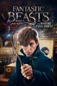 Download Fantastic Beasts and Where to Find Them (2016) {Hindi-English} 480p [450MB] || 720p [1.1GB] || 1080p [2.9GB]
