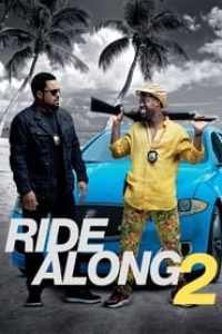 Download Ride Along 2 (2016) Dual Audio (Hindi-English) 480p [400MB] || 720p [1.1GB] || 1080p [1GB]