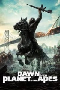 Download Dawn of the Planet of the Apes (2014) Dual Audio {Hindi-English} 480p [400MB] || 720p [1.4GB] || 1080p [2.2GB]