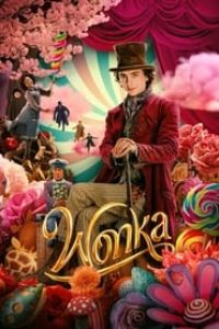Download Wonka (2023) Dual Audio {Hindi-English} BluRay 480p [540MB] || 720p [1.2GB] || 1080p [2.5GB]